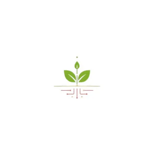 Seed stage icon representing planting your digital foundation
